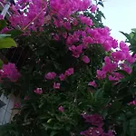 Calm House In Village, Lefkada Vakantiehuis *