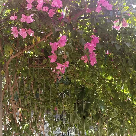 펜션 Calm House In Village, Lefkada