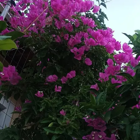 Calm House In Village, Lefkada 펜션 *